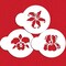 Exotic Flowers Cookie Stencil Set: Orchid, Iris, Lily | C738 by Designer Stencils | Cookie Decorating Tools | Baking Stencils for Royal Icing, Airbrush, Dusting Powder | Reusable Plastic Food Grade Stencil for Cookies | Easy to Use & Clean Stencil